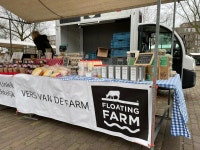 기후위기 대응 고심 끝에… 물 위에 지어진 젖소 목장