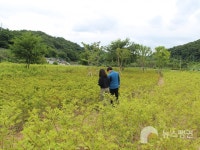 금강생태마당 환경·사람·동물 3박자 맞춘 해결책
