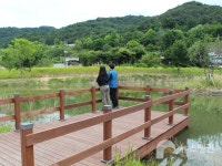 금강생태마당 환경·사람·동물 3박자 맞춘 해결책