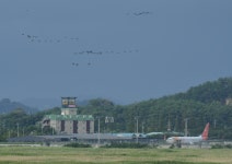 저어새 쉼터 새만금 수라갯벌, 신공항 건설로 사라질 위기