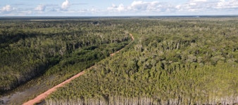 국내 제지업체 무림페이퍼, 인도네시아 열대우림 파괴