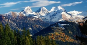 푸르게 변하는 알프스... 식생 면적 77% 증가