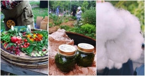 도심에서 생산하고 순환하는 삶을 살아가는 전환마을은평