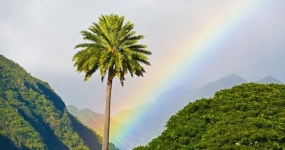 석탄발전소에서 해방! 하와이가 맞이할 특별한 9월