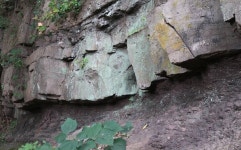 멸종위기 산양서식지에 풍력발전 추진 논란