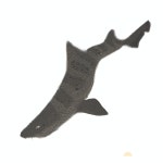 1월은 까치상어 수산시장과 작별해야 할 멸종위기종