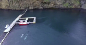 [단독] 후보지까지 정했는데…고래 바다쉼터 예산 전액 삭감