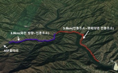 화천군 쳐놓은 울타리에 길막 당한 산양...대책은?