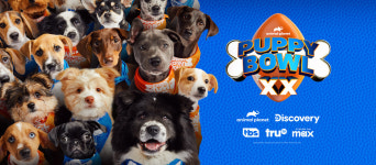 슈퍼볼 아니고 퍼피볼...유기견 입양축구 눈길