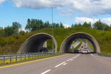 한국도로공사 생태통로, 끊긴 서식지 연결하고 로드킬 막는다