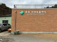 [안녕, 2024] 수리부엉이가 푸드덕 머리 위로 날았다
