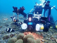 수중 사진작가로 변신한 30년 차 의사의 바닷마을 다이어리