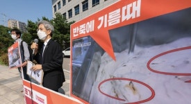 시민단체, 던킨도너츠 비위생 논란 SPC 고발…사측 “영상 조작 의심”