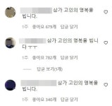 불편해 마음에 안 들어 디지털 혐오의 시대, 꽃이 진다