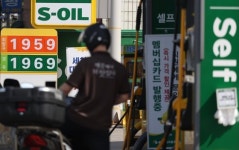 요소수 이어 경윳값 폭등…디젤차가 사라지고 있다