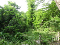 [기자체험기] 라탄공예로 이국적 분위기! 등나무향 담은 바구니 만들기