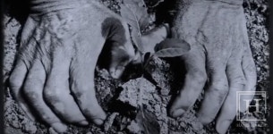전쟁고아 거뒀던 농장이 시초...풀무원, 대기업 성장스토리