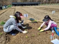 서울시, 「동행서울 친환경농장」에서 유기농 채소를 직접 키워보세요