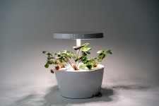 베러투게더, 식물생활가전 팜팜이지 S 출시...최대 10개 사용자 모드 설정 가능