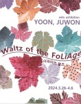갤러리 컬러비트, 윤주원 개인전 《이파리의 왈츠 Waltz of the Foliage》 개최
