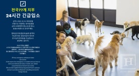 동물보육원, 파양된 강아지 · 고양이 24시간 긴급입소 서비스 강화
