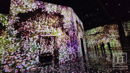 [현장스케치] 아르떼뮤지엄, 라스베가스와 두바이 이어 부산 영도에 오픈