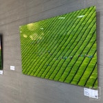 [현장스케치] 애기봉 공원에서 마주한 자연의 정취… 한국관광공사·김포문화재단 특별전 《그리움의 풍경, 희망의 빛》