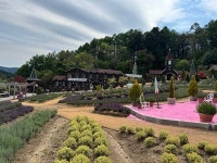 포천 허브아일랜드, 봄꽃 테마 라데봄 축제 개최