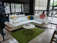 까사리코 일산본점, 할인 프로모션 실시