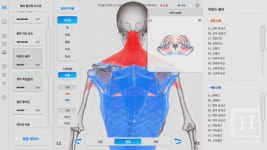 국내를 넘어 글로벌로 AI 헬스테크 서비스를 만든다 - 엠지솔루션스 박재현 대표
