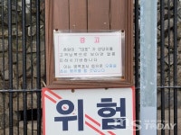 춘천 육림랜드 호랑이 대호가 전하는 호랑이 기운!