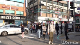 횡단보도 앞 사람 있으면 일단정지…7월부터 범칙금