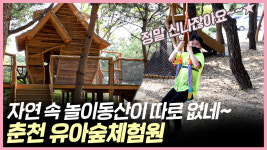 자연 속 아이들의 인생 놀이터 유아숲체험원