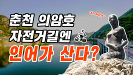 푸른 춘천의 전설···자전거 타고 인어공주 만나러