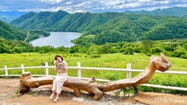 반려동물과 함께 나서는 가을 축제, 2022 춘천 펫스타