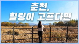 심란할 땐 쉬러가자, 가을 물든 춘천 힐링 명소 TOP3