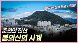 (영상) [독자 참여] 매일 같은 자리에서 한 장씩⋯봉의산의 사계