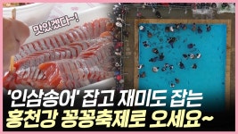 (영상) 인삼송어 잡고 재미도 잡는 홍천강 꽁꽁축제