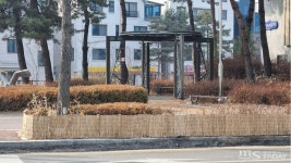 4억 들인 도로변 짚단, 버리는 게 반