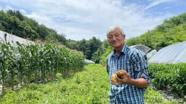 [춘천 제철 음식] 봄감자가 맛있단다 포슬포슬 햇감자 요리법