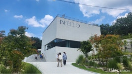 카페 인필드 효과?⋯손흥민체육공원 내비 검색 급증