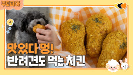 [주토피아] 멍스토랑 오픈! 강아지 전용 치킨 만들어봐요