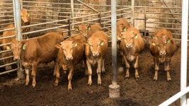 춘천·삼척·철원, 22억 규모 축산악취개선 공모사업 선정