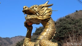 푸른 용의 해 춘천에도 용이 산다