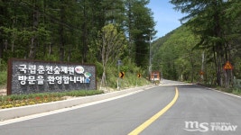 강원자치도 녹색일자리 창출→산림복지사업확대