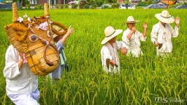 춘천 복사꽃 수레마을 풍년기원 논고사제