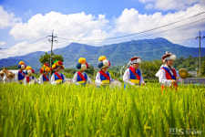 춘천 복사꽃 수레마을 풍년기원 논고사제