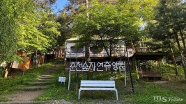 춘천숲자연휴양림 페스타 가을 숲에서 참살이 만끽