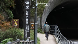 자연이 빚은 예술⋯철원 삼부연폭포의 장엄한 물줄기