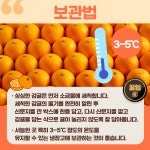 보기 좋은 귤이 먹기도 좋다? 맛있는 귤 고르는 법